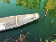 水面上的船的图片