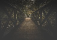 雄伟的高架桥图片