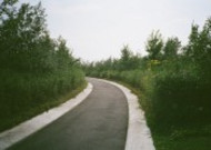 弯弯的沥青公路图片