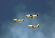 飞机飞行表演图片