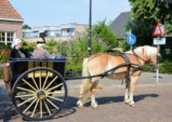 荷兰传统马车图片