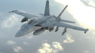 F/A-18大黄蜂战斗攻击机图片