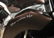 Vilner改装Aprilia(阿普利亚)Stingray摩托车图片