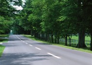 道路景观图片