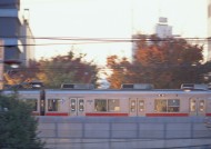 火车与高铁图片