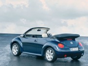 甲壳虫图片大全