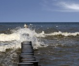 水边的防波堤图片