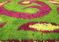 公园园艺设计图片