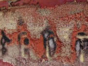 斑驳的墙面图片