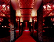 SARAH-深田恭通作品图片大全