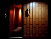 SATOMI-深田恭通作品图片