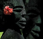 香格里拉斐济度假酒店风景图片