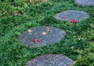 日式庭院小石路图片