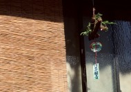 居民生活小巷特写图片