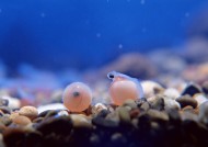 环境污染问题图片大全