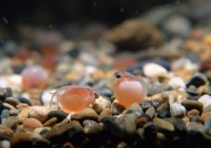 环境污染问题图片大全