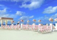 沙滩上的婚礼装饰图片