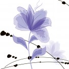 神秘紫色花朵三联画图片