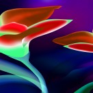 神秘紫色花朵三联画图片