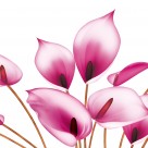 马蹄莲家居三联画图片