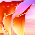 马蹄莲家居三联画图片