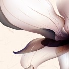 端庄大气花朵三联画图片