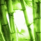 绿色清新家居三联画图片