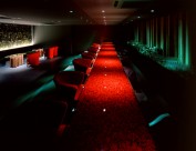 ILLUSION-深田恭通作品图片