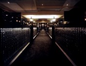 Frescoll-深田恭通作品图片