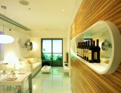 升悦居-梁志天室内设计作品2图片大全