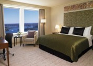 悉尼香格里拉大酒店客房图片