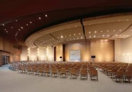 土尔其伊兹密尔艾菲索斯瑞士大酒店图片