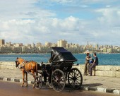 亚历山德里亚四季酒店图片大全