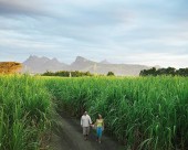 毛里求斯四季酒店图片