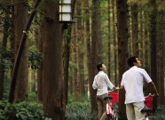 杭州西子湖四季酒店装潢图片