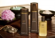 半岛酒店集团-香港地区图片