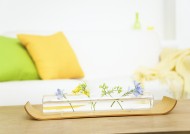 自然清新客厅图片