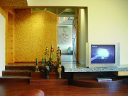 彩甸公寓样板间设计图片