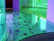 湾畔的住宅样板间图片大全