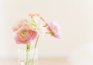 室内摆饰极简风图片