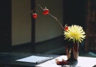 日式小屋图片大全