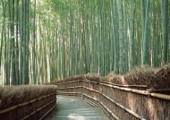 日式房子图片大全