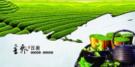 龙井茶宣传画册图片