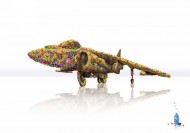 花香清洁剂广告设计图片