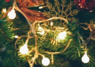 圣诞节布置的圣诞树图片