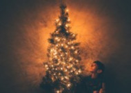 圣诞树的特写图片