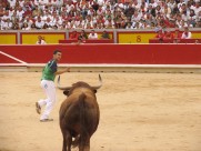 西班牙斗牛图片大全