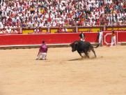 西班牙斗牛图片大全