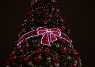 装饰精美的圣诞树图片大全