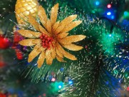 装饰精美的圣诞树图片大全